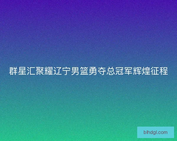 群星汇聚耀辽宁男篮勇夺总冠军辉煌征程