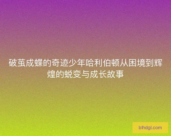破茧成蝶的奇迹少年哈利伯顿从困境到辉煌的蜕变与成长故事